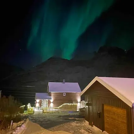 Mountain Aurora View *