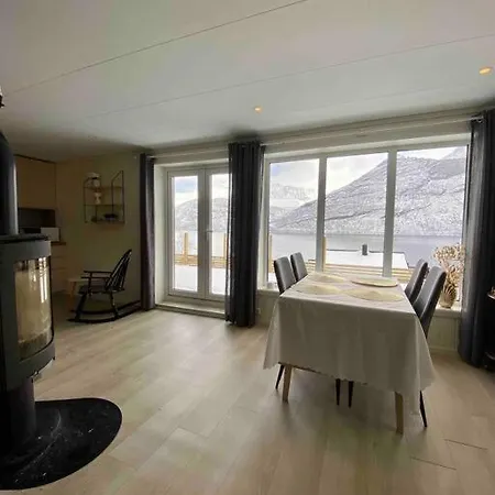 Mountain Aurora View