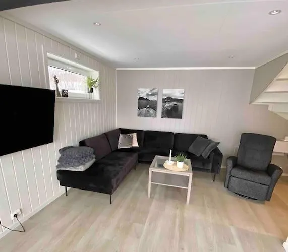 Mountain Aurora View *